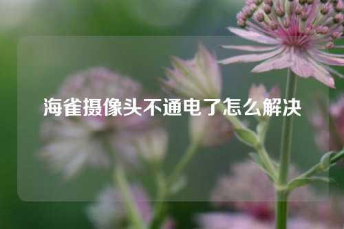 海雀摄像头不通电了怎么解决