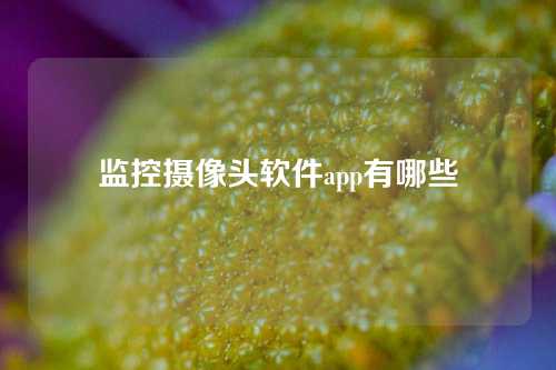 监控摄像头软件app有哪些