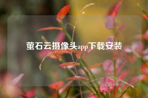 萤石云摄像头app下载安装