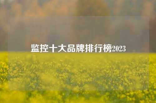 监控十大品牌排行榜2023