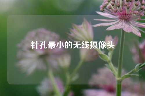 针孔最小的无线摄像头