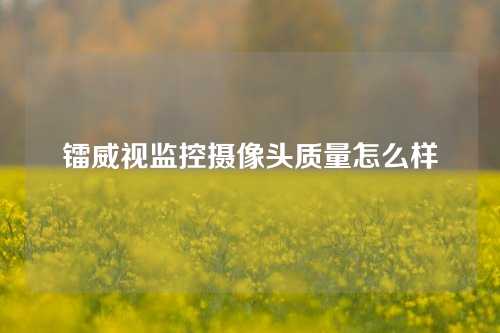 镭威视监控摄像头质量怎么样