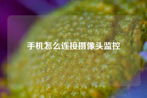 手机怎么连接摄像头监控