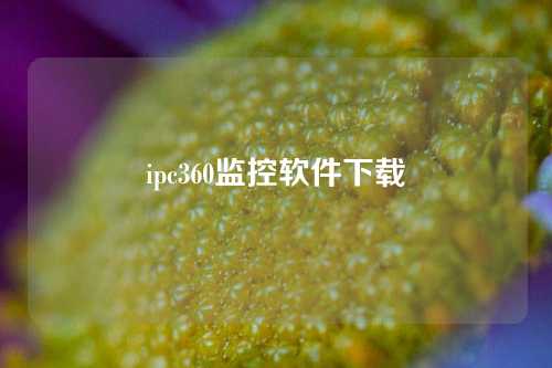 ipc360监控软件下载