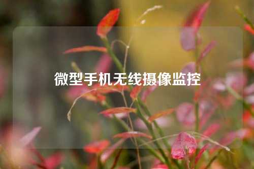 微型手机无线摄像监控