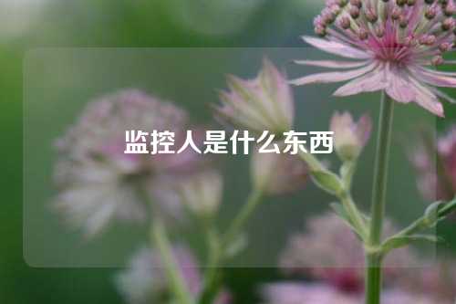 监控人是什么东西