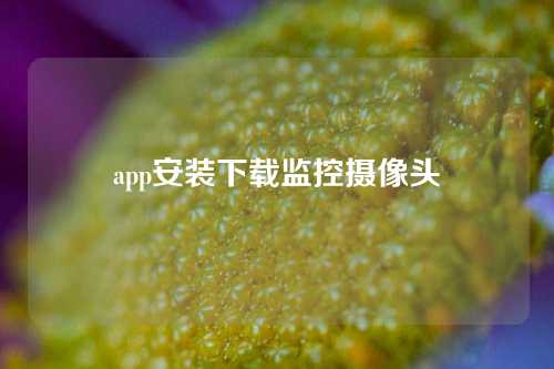 app安装下载监控摄像头