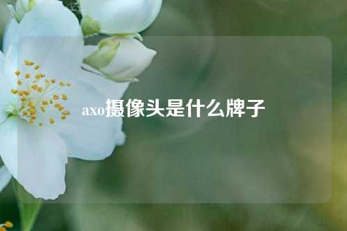 axo摄像头是什么牌子