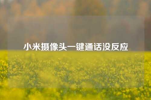 小米摄像头一键通话没反应