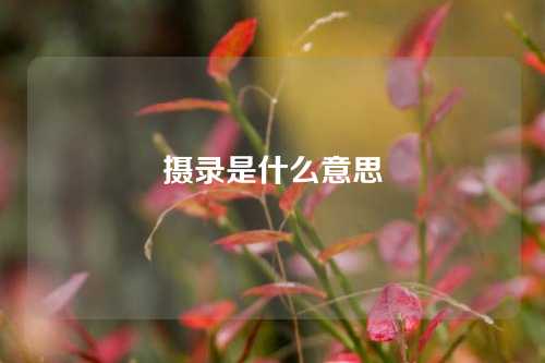 摄录是什么意思