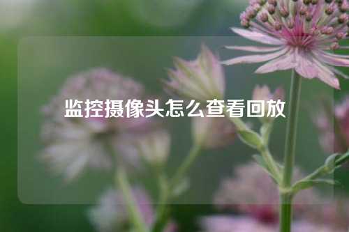 监控摄像头怎么查看回放