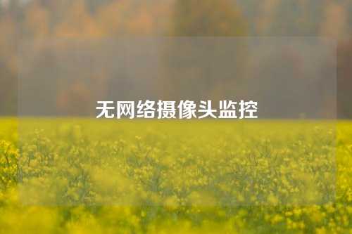 无网络摄像头监控