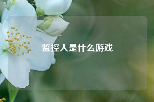 监控人是什么游戏