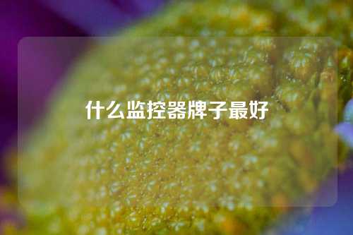 什么监控器牌子最好