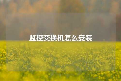 监控交换机怎么安装