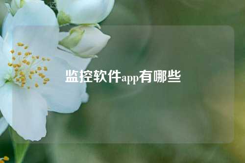 监控软件app有哪些