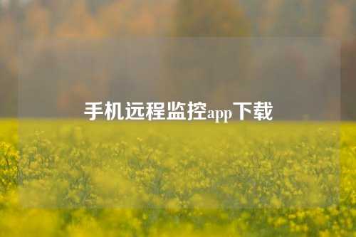 手机远程监控app下载