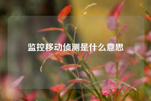 监控移动侦测是什么意思