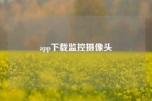 app下载监控摄像头