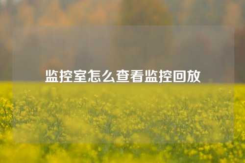 监控室怎么查看监控回放