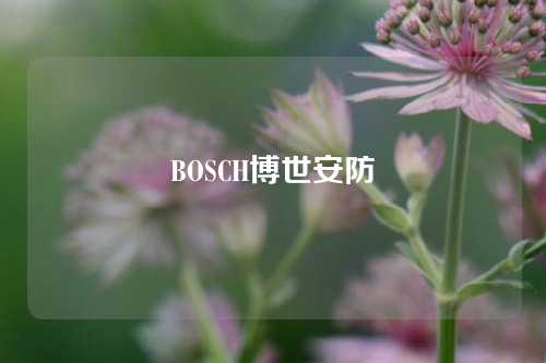 BOSCH博世安防