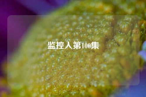 监控人第100集