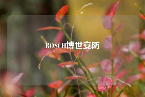 BOSCH博世安防