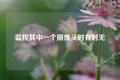 监控其中一个摄像头时有时无