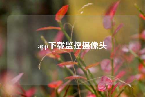 app下载监控摄像头