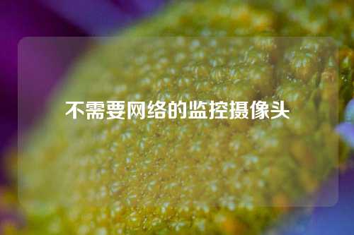 不需要网络的监控摄像头