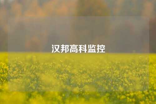 汉邦高科监控