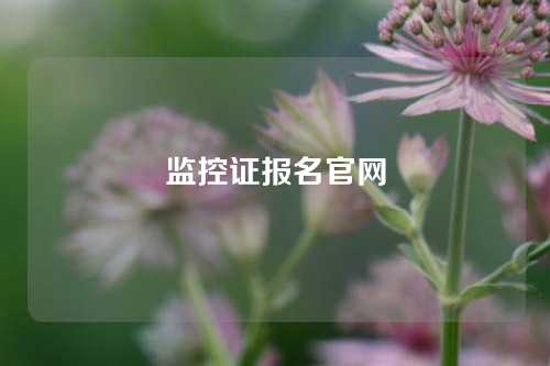 监控证报名官网