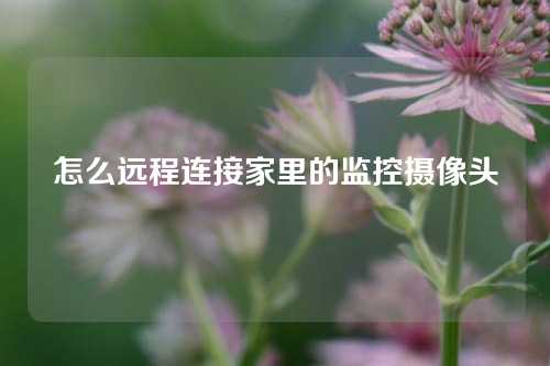 怎么远程连接家里的监控摄像头