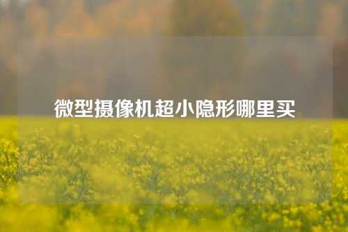 微型摄像机超小隐形哪里买