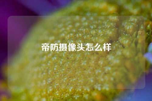 帝防摄像头怎么样