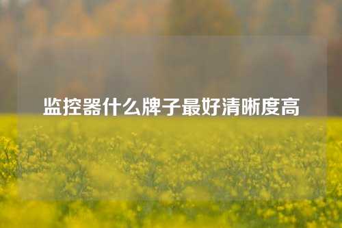 监控器什么牌子最好清晰度高