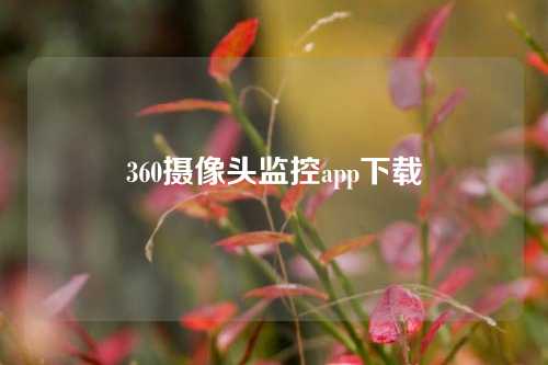 360摄像头监控app下载