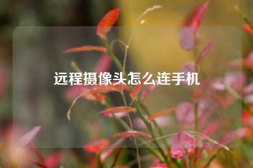 远程摄像头怎么连手机