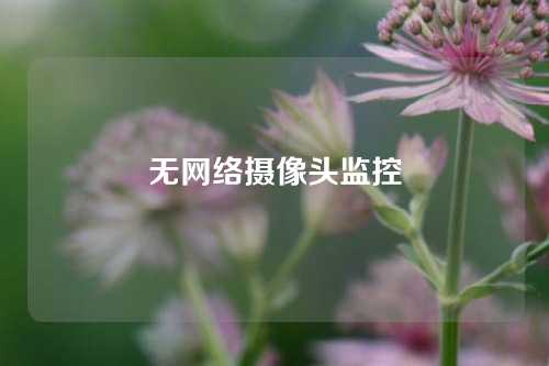 无网络摄像头监控