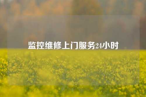 监控维修上门服务24小时